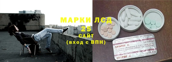 гашик Осташков