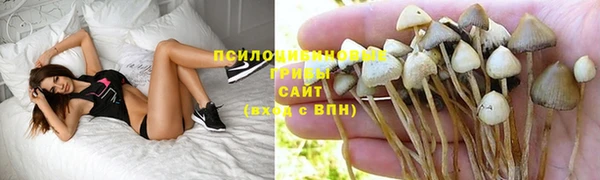 PSILOCYBIN Остров