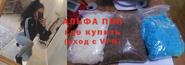 гашик Осташков