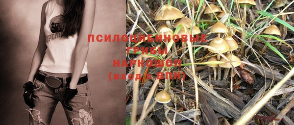 дживик Чердынь