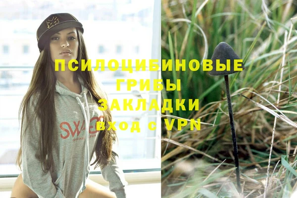 PSILOCYBIN Остров