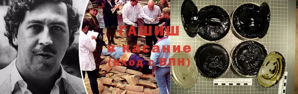 гашик Осташков