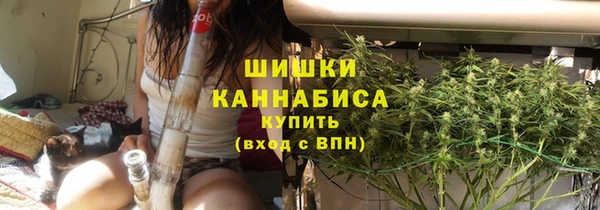 гашик Осташков