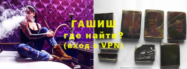гашик Осташков