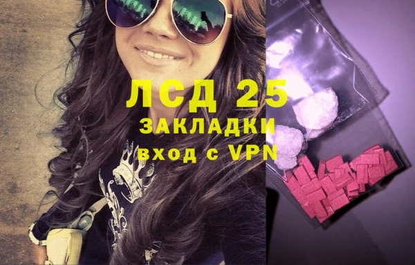 гашик Осташков