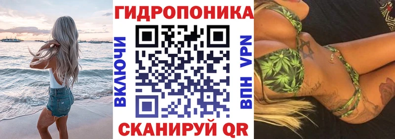 Конопля план  купить наркотики цена  Приморск 